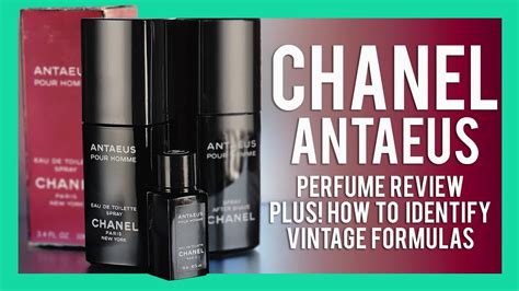 chanel antaeus review